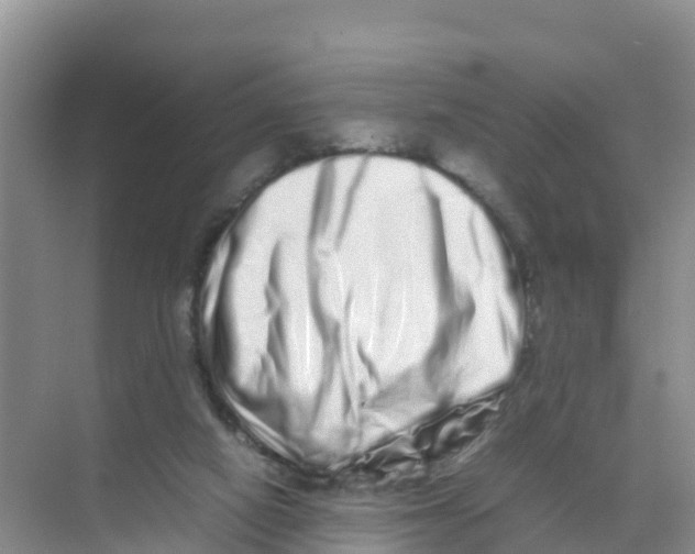 X0000070190066200606232023