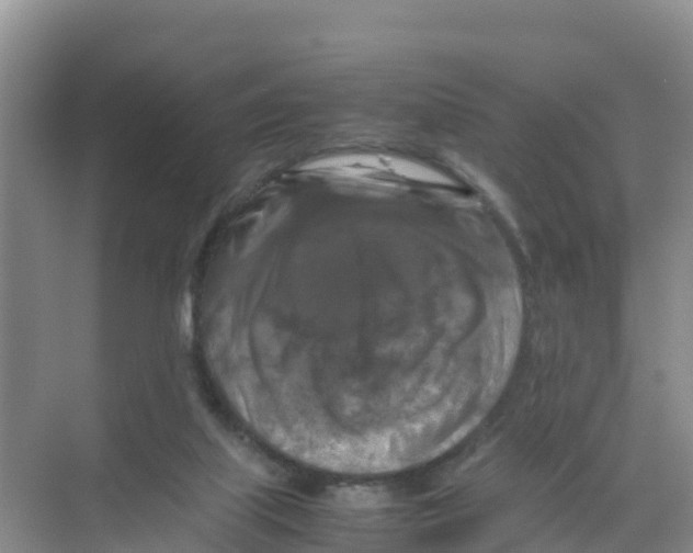 X0000070190067200606232023