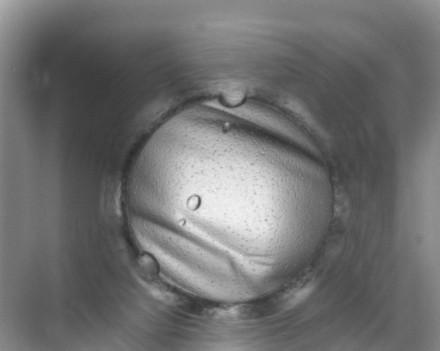 X0000070190068200606232023