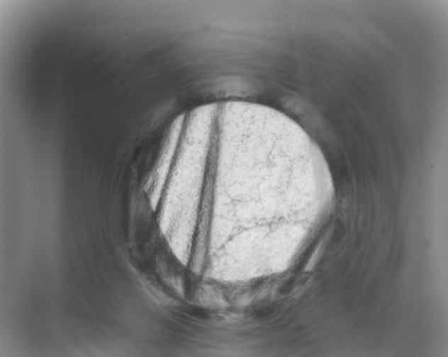 X0000070190070200606232023