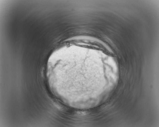 X0000070190071200606232023