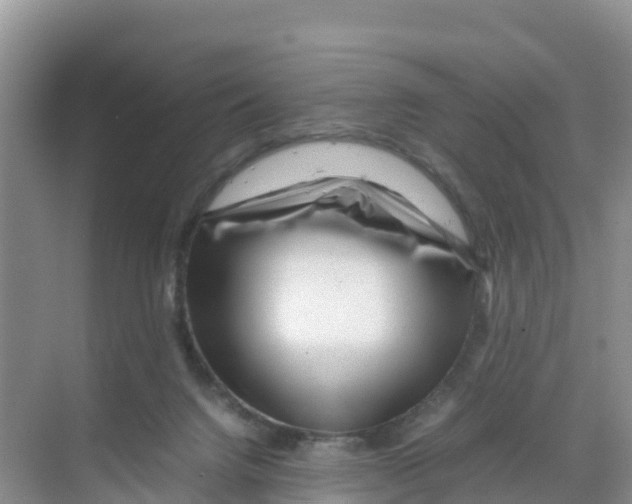 X0000070190072200606232023