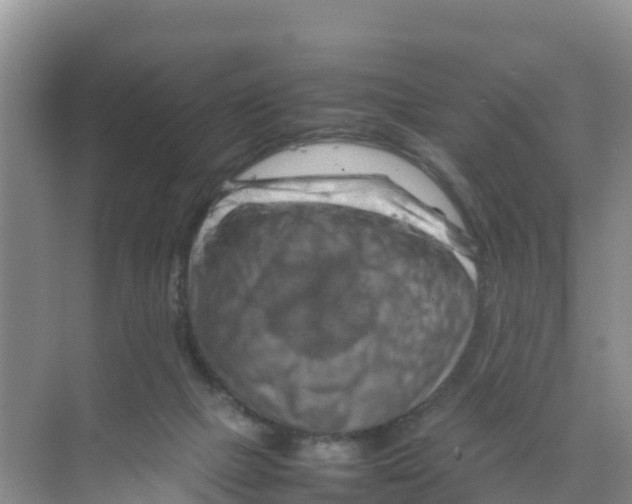 X0000070190073200606232023