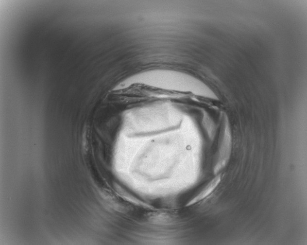 X0000070190074200606232023