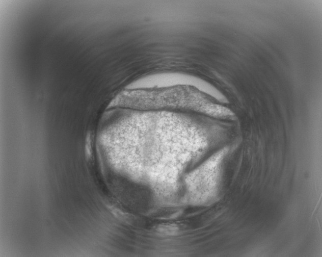 X0000070190075200606232023