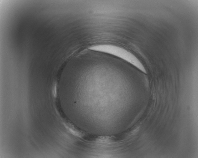 X0000070190076200606232023