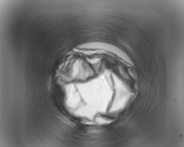 X0000070190077200606232024