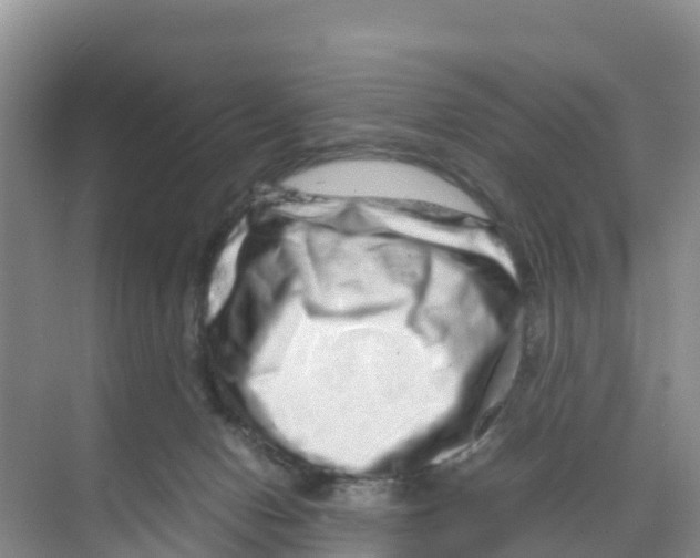 X0000070190078200606232024