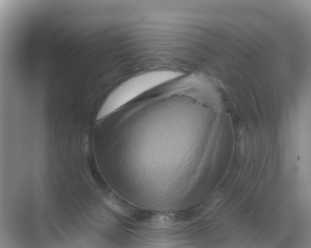 X0000070190080200606232024