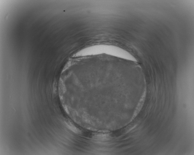 X0000070190081200606232024