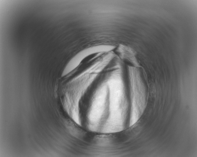 X0000070190082200606232024