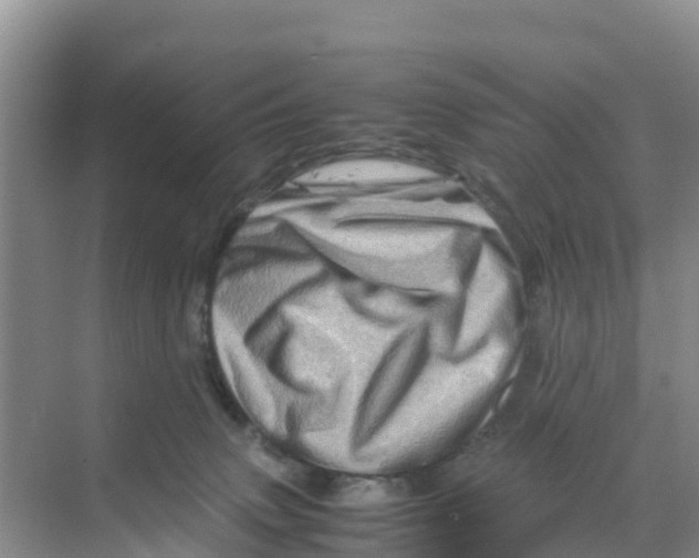 X0000070190083200606232024