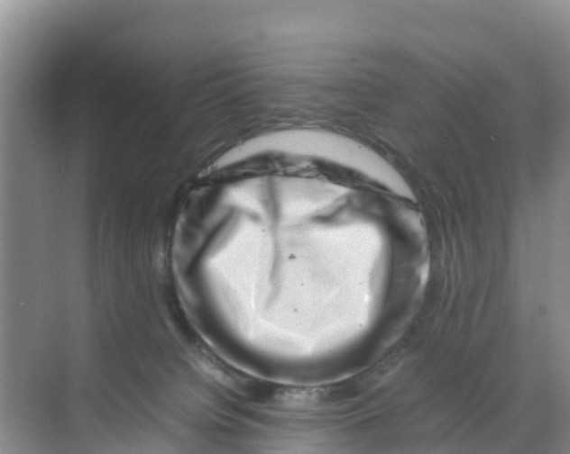 X0000070190084200606232024