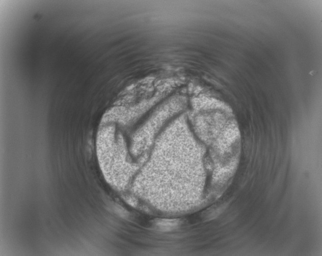 X0000070190085200606232024