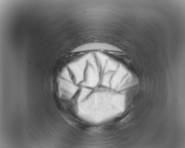 X0000070190086200606232024