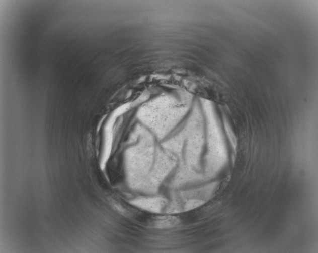 X0000070190087200606232024