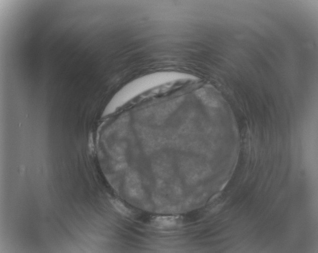 X0000070190089200606232024