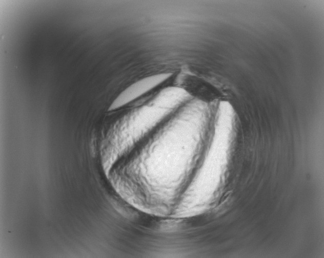 X0000070190090200606232024