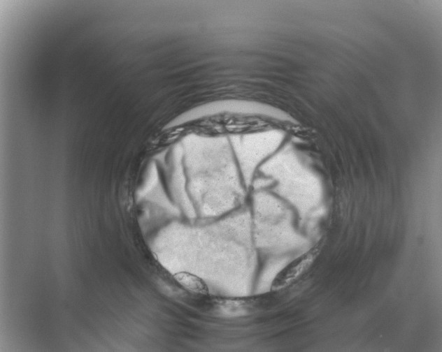 X0000070190091200606232024