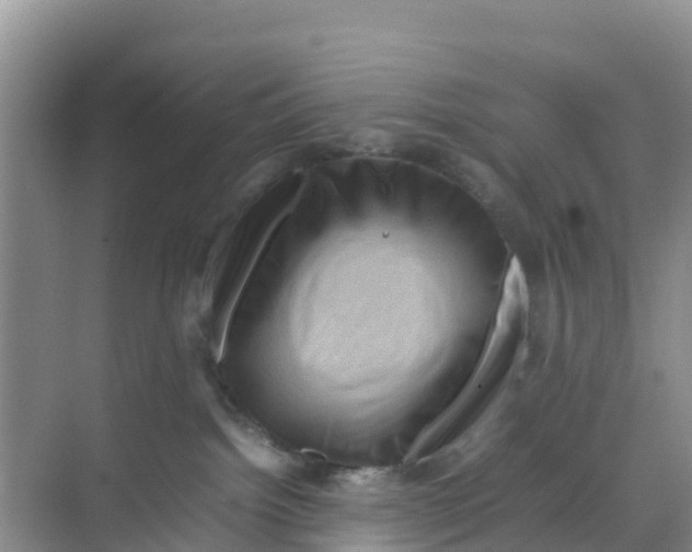 X0000070190092200606232024