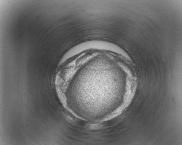 X0000070190093200606232024