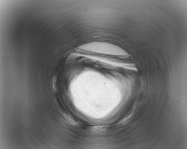 X0000070190094200606232024