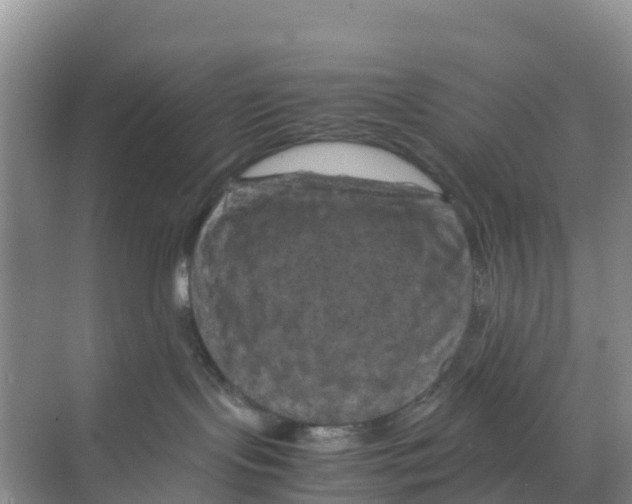 X0000070190095200606232024