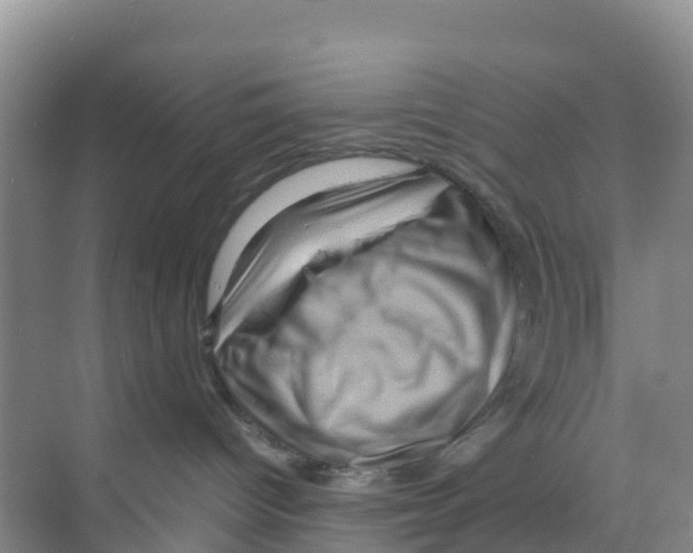 X0000070190096200606232024