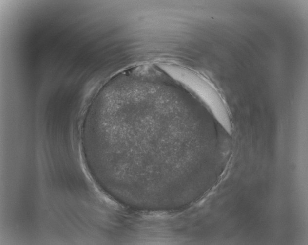 X0000070190097200606232023