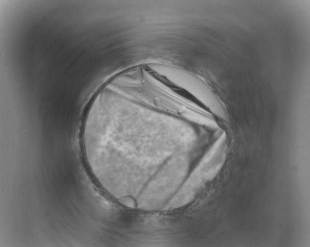 X0000070190098200606232023