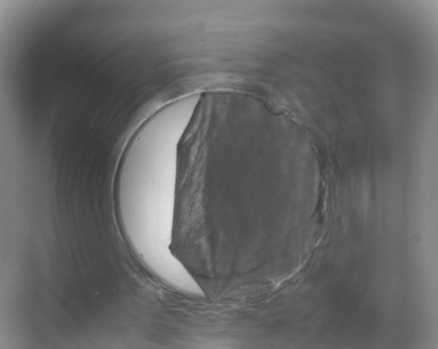 X0000070190099200606232023