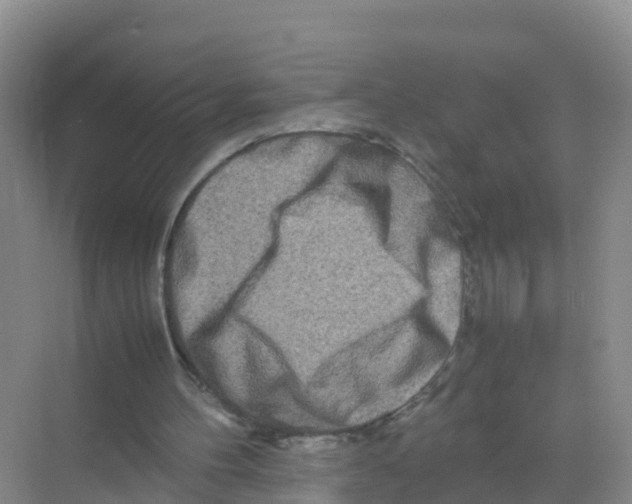 X0000070190100200606232023