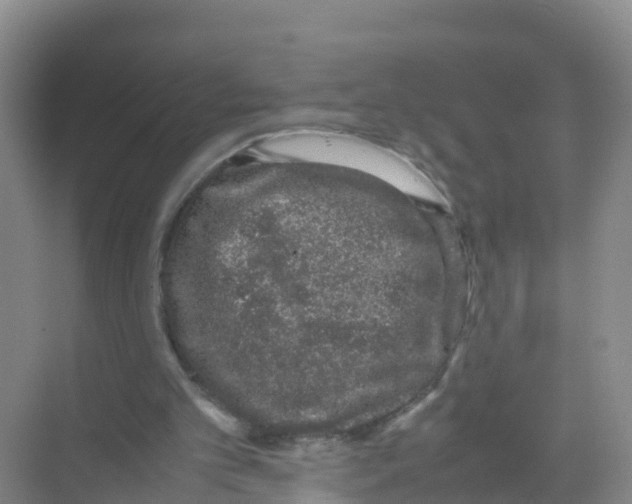 X0000070190101200606232023