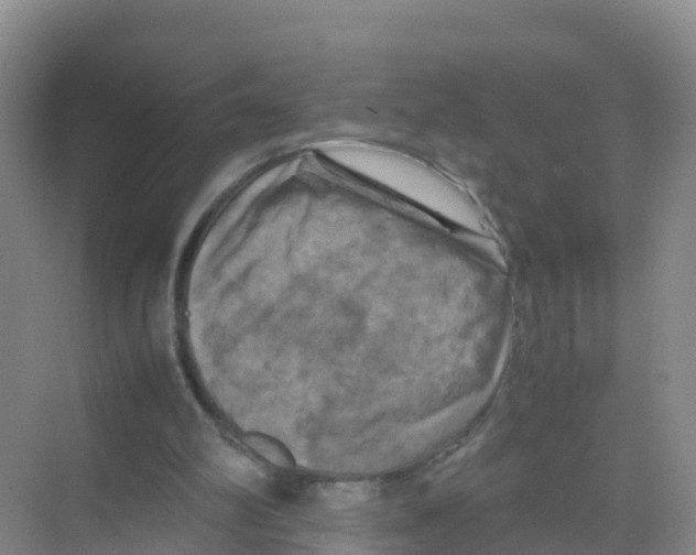 X0000070190102200606232023