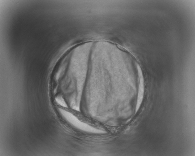 X0000070190103200606232023