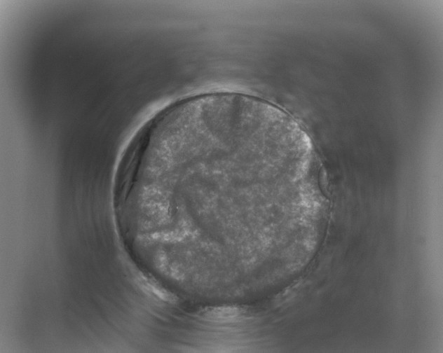 X0000070190104200606232023