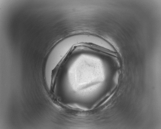 X0000070190105200606232023