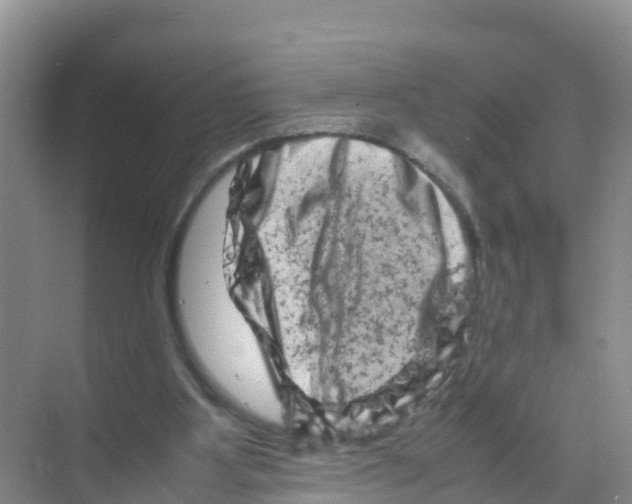 X0000070190107200606232023