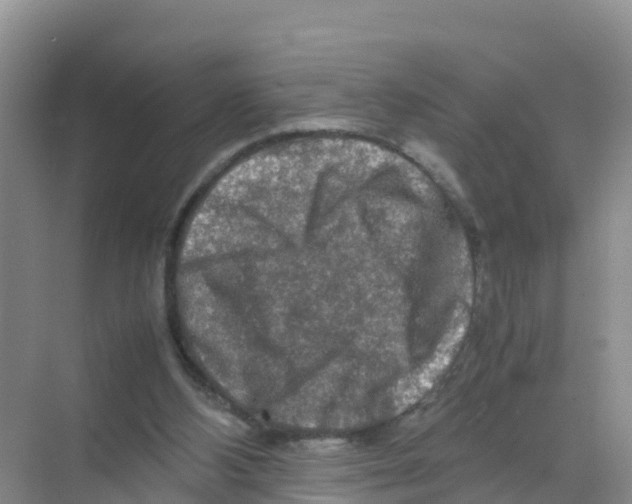 X0000070190108200606232023