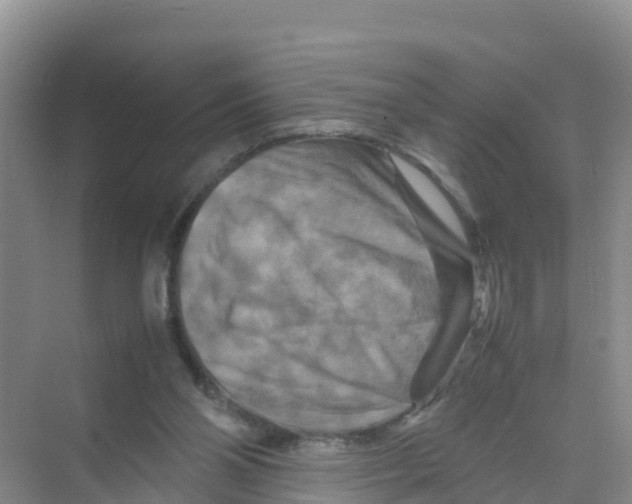 X0000070190110200606232023