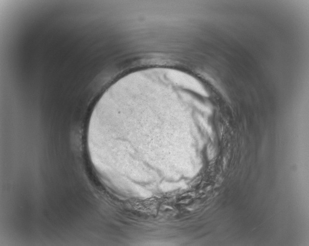 X0000070190111200606232023