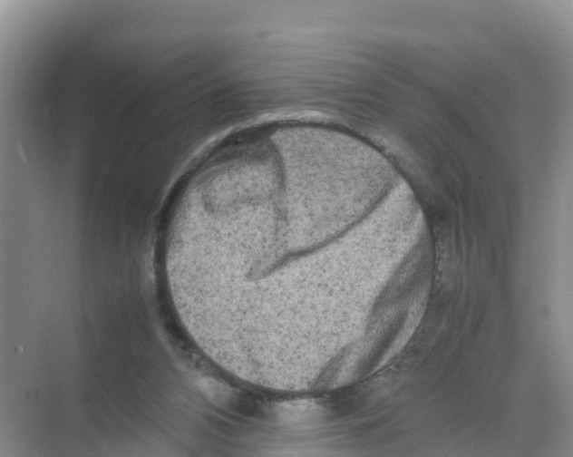 X0000070190112200606232023