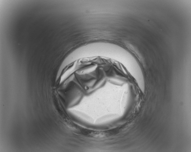 X0000070190113200606232023