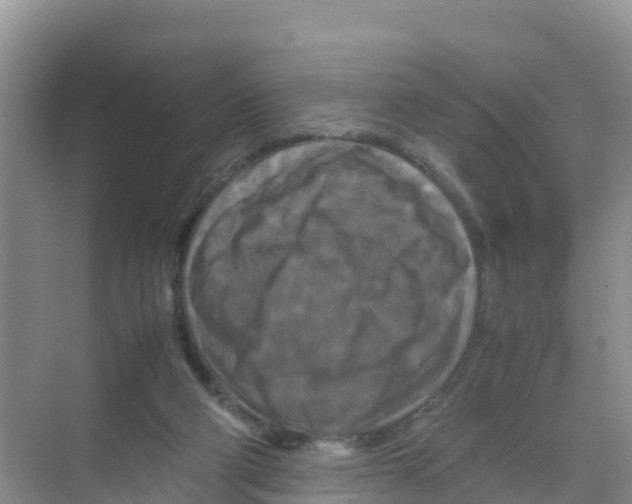 X0000070190114200606232023