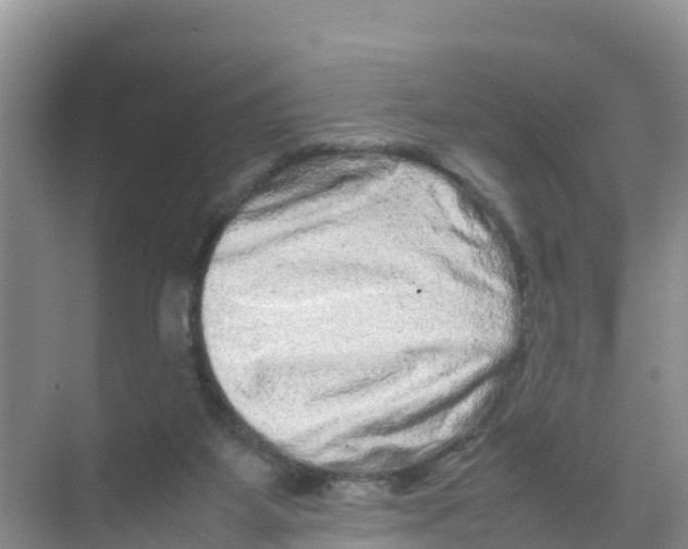 X0000070190115200606232023