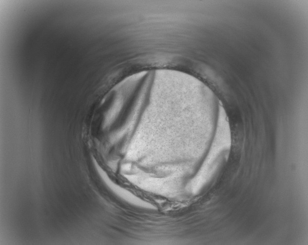 X0000070190119200606232023