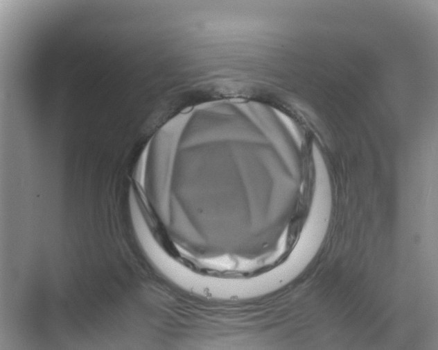 X0000070190121200606232023