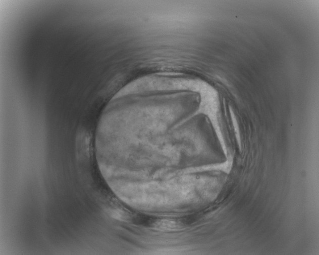 X0000070190123200606232023