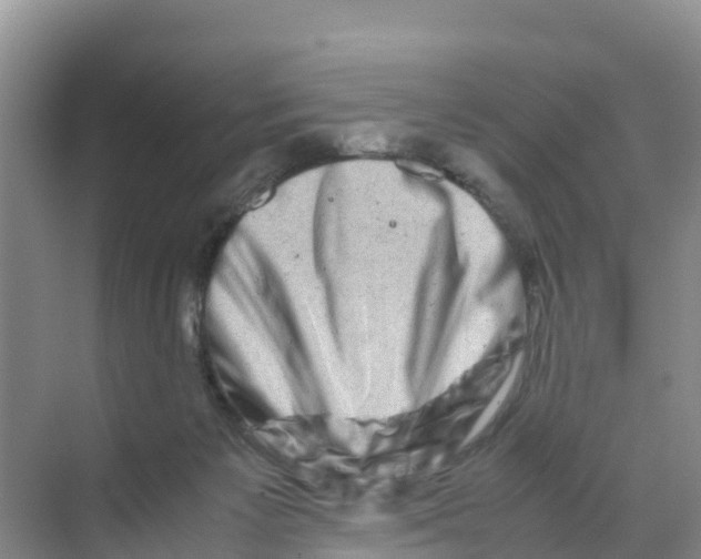 X0000070190125200606232023