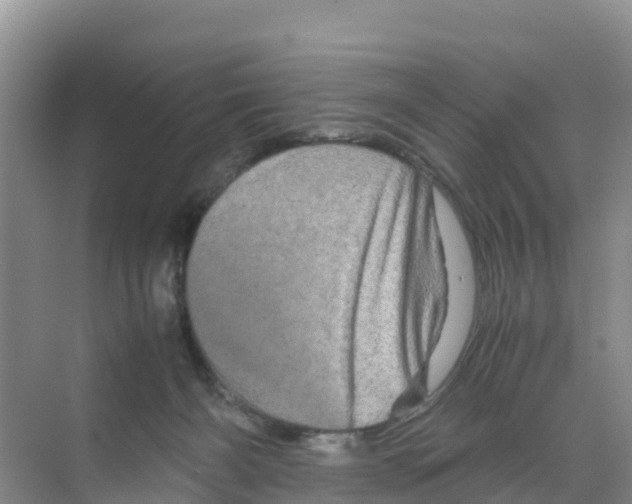 X0000070190126200606232023